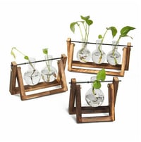 ebay top selling items gardening plants