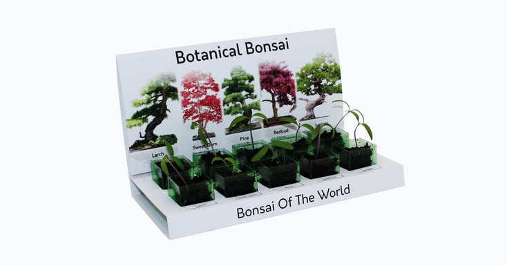 Grow Your Own Bonsai Kit