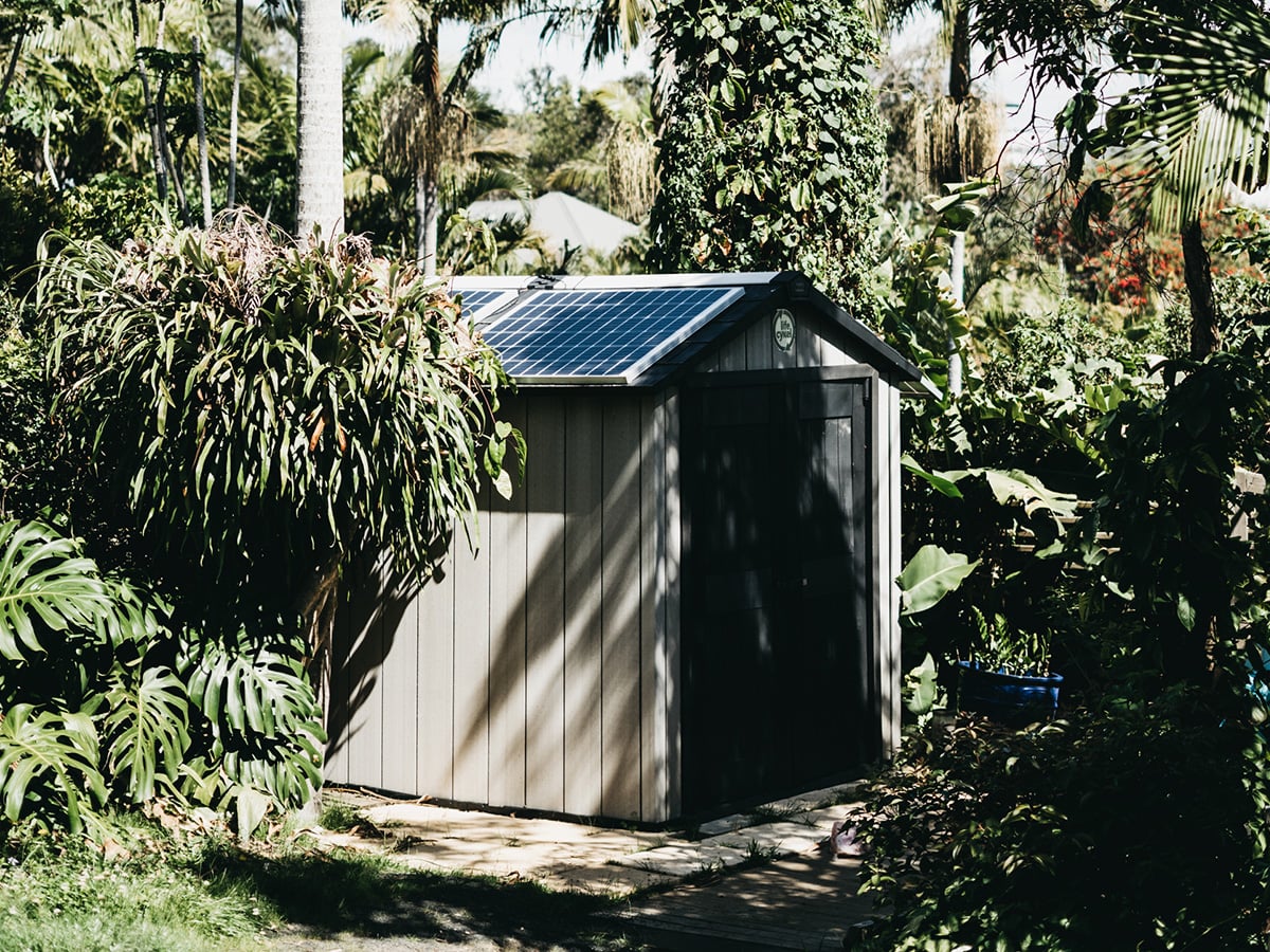 Life Cykel solar shroom room.