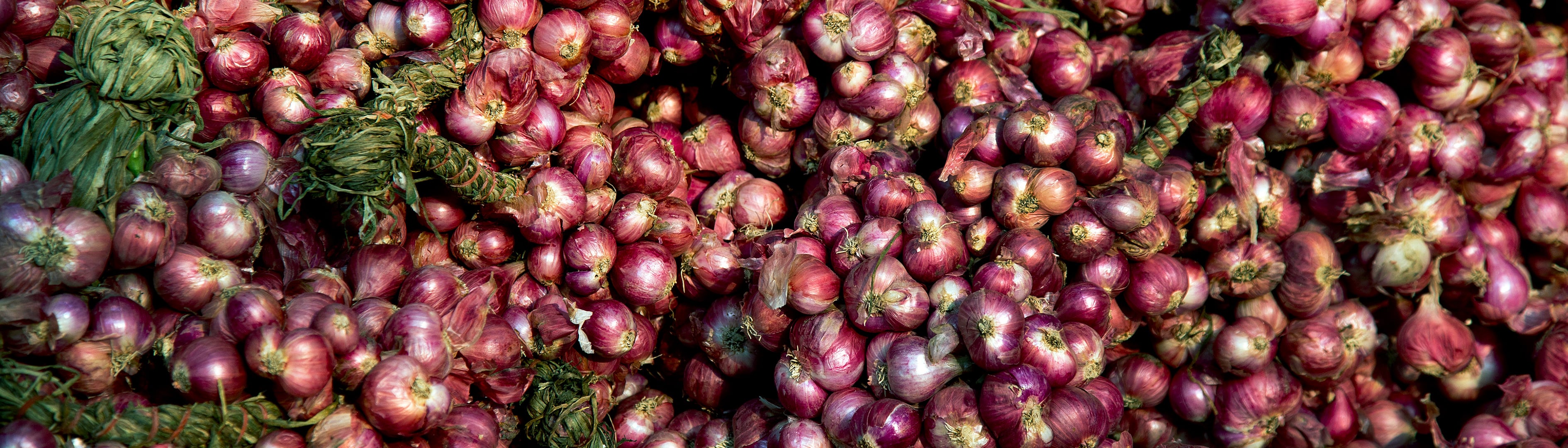 rescuing-australia-s-imperfect-produce-one-jar-of-chutney-at-a-time