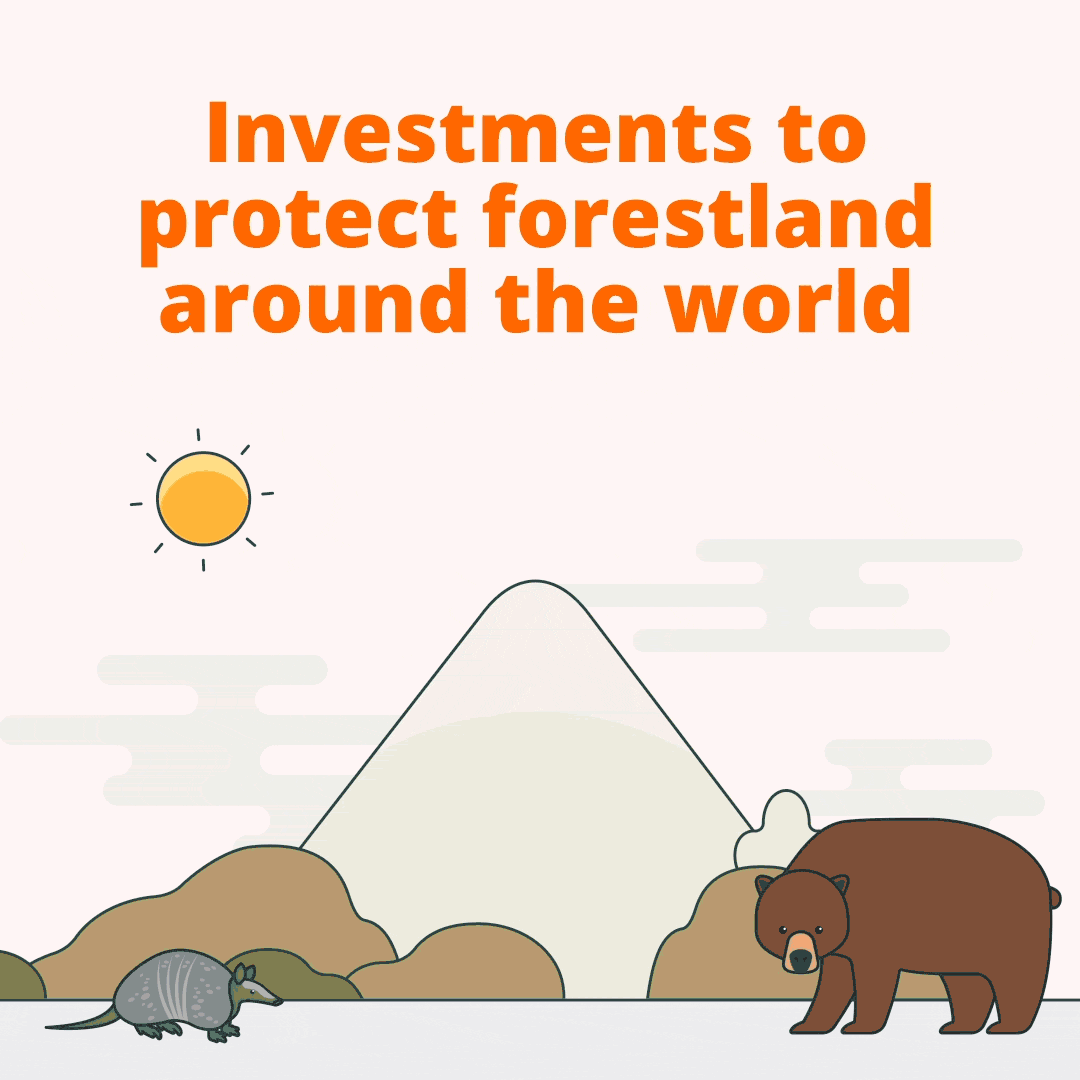 GIF on Sendle's investments to protect forestland around the world | Sendle 100% Carbon Neutral Shipping