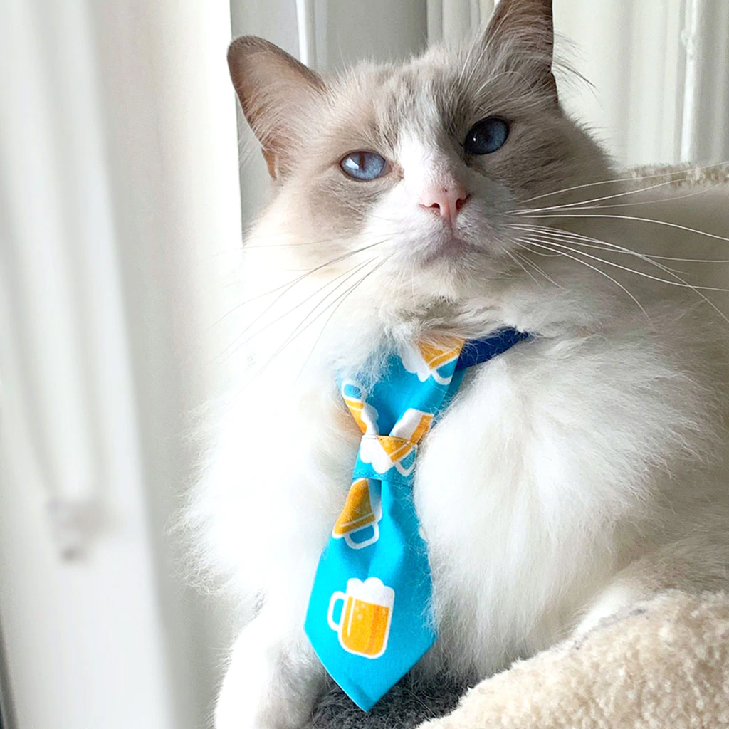 cat-with-a-necktie-by-peppermint-pets