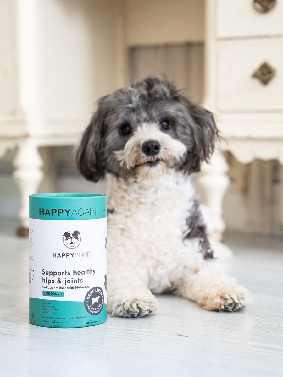 Happybond healthy pet nutrition with furry dog