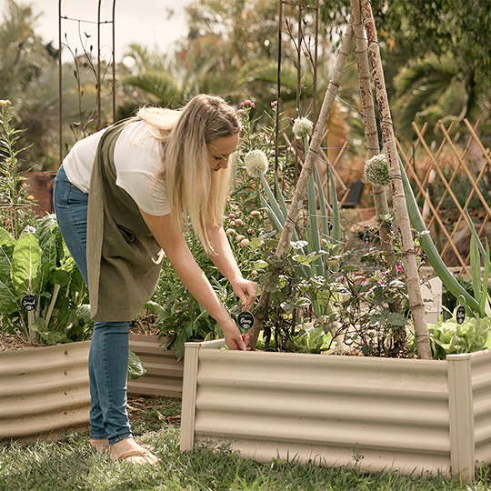 Little Farm Plot small business woman at her garden