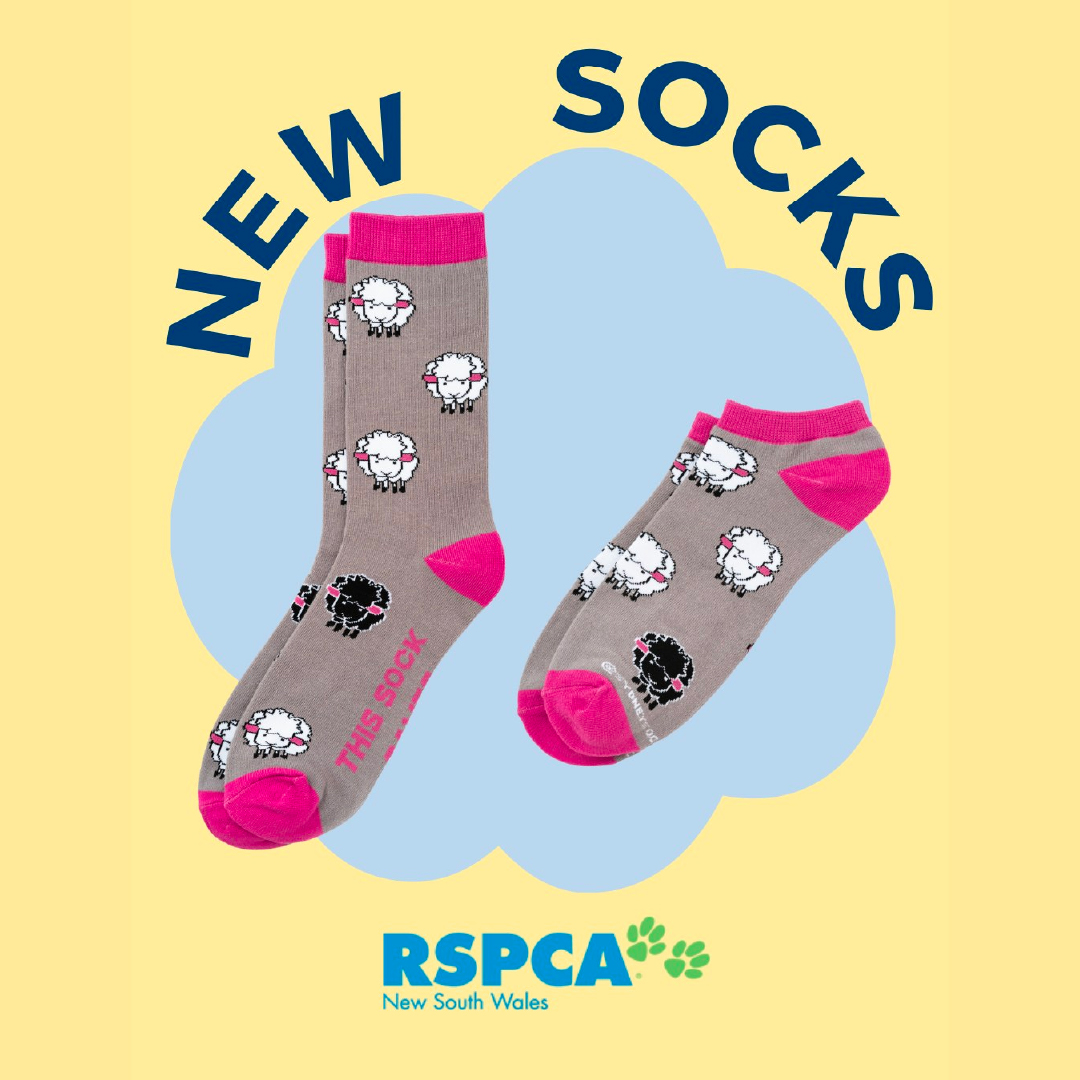 sydney-sock-project-product-shot-new-socks-for-rspca-nsw