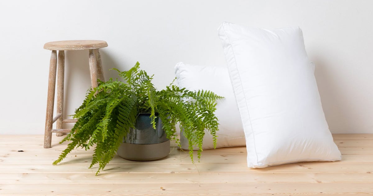 two gokindly pillows on wood flooring beside fern plant pot and wooden stool chair