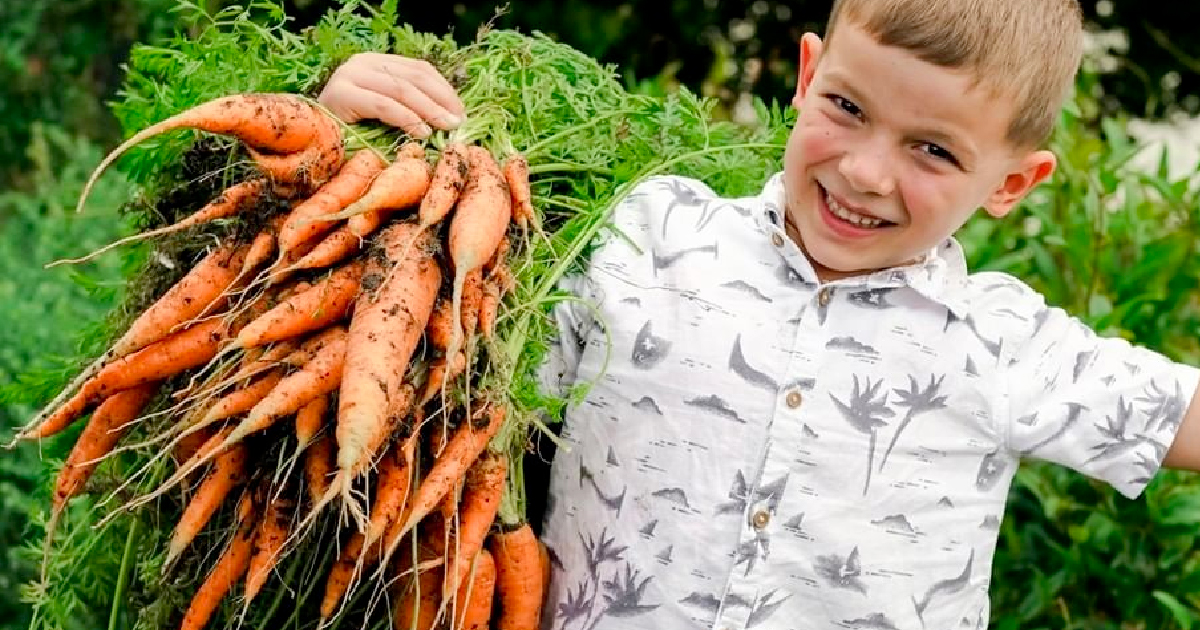 a child smiling while holding up a large bundle of carrots harvest