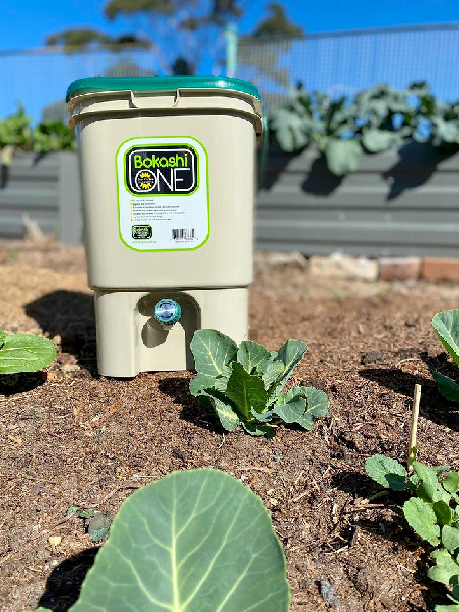 Bokashi One composting bin placed on the ground beside a planted vegetable