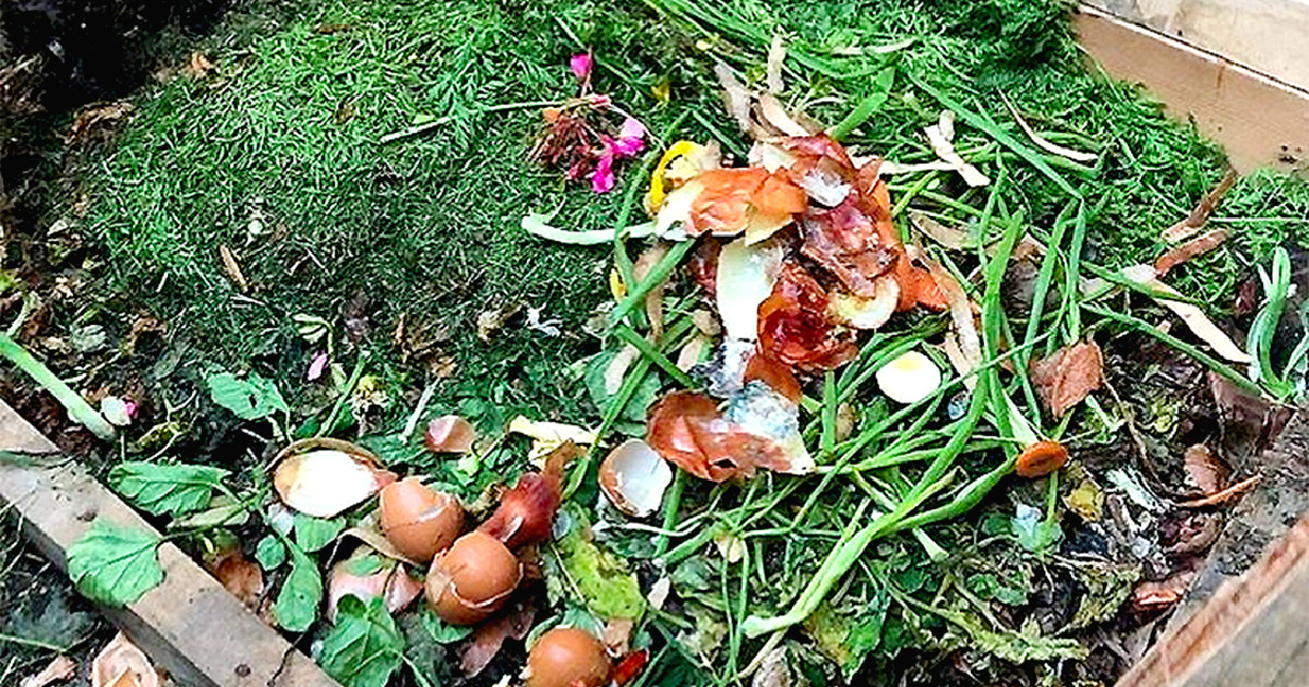 large compost bin with open top and filled with food waste