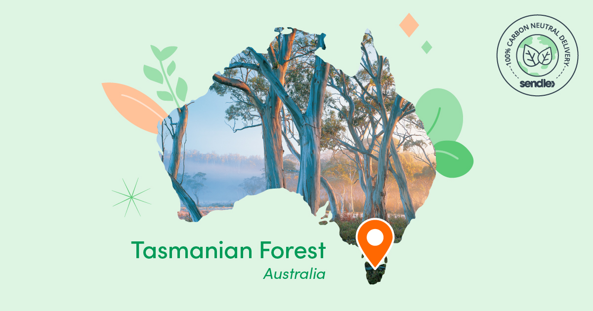 map of australia pin location at tasmanian forest