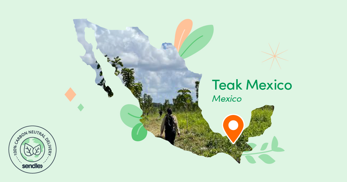 map of mexico pin location at teak mexico lower right area
