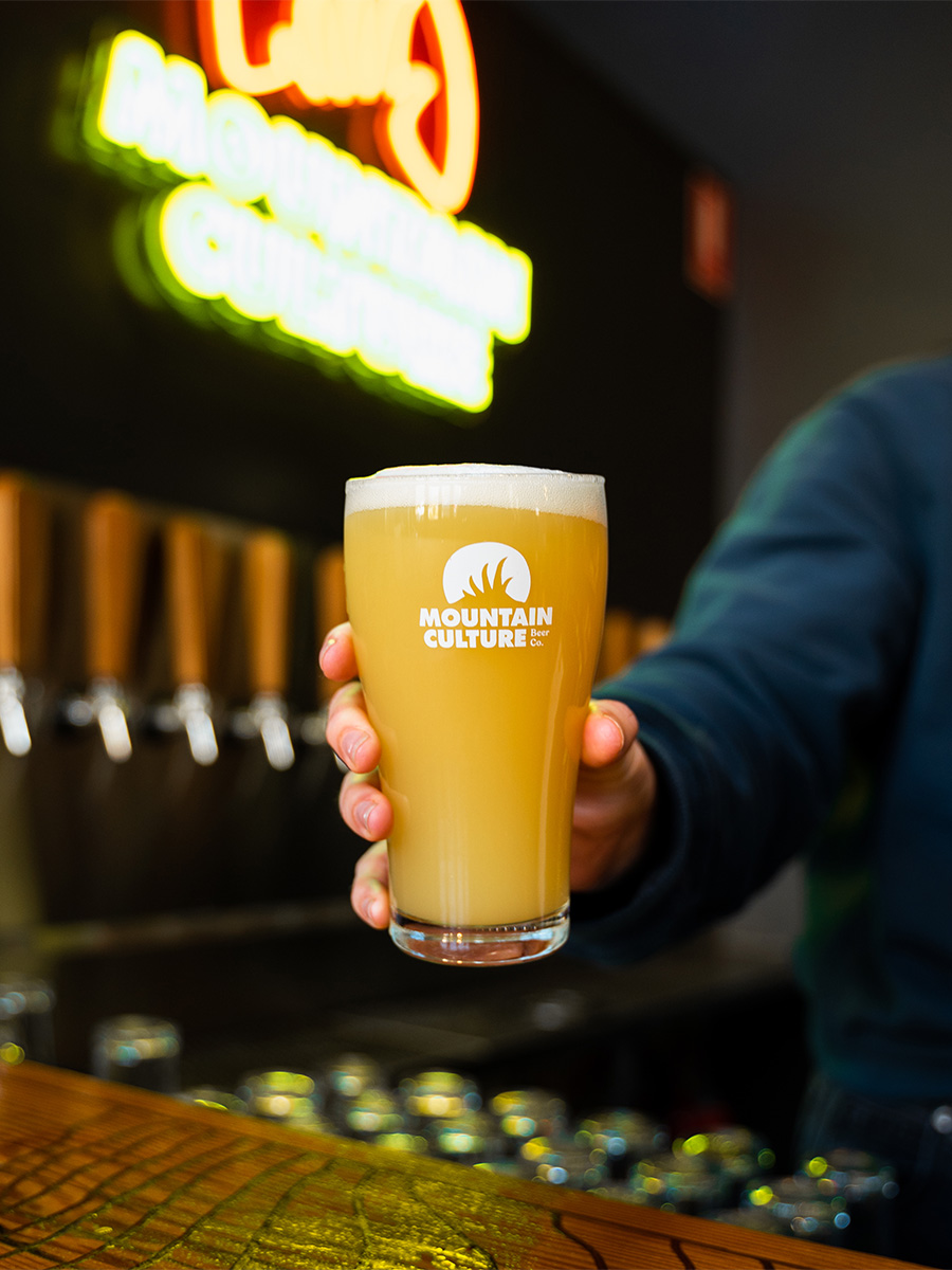 hand holding a glass pint of beer over bar