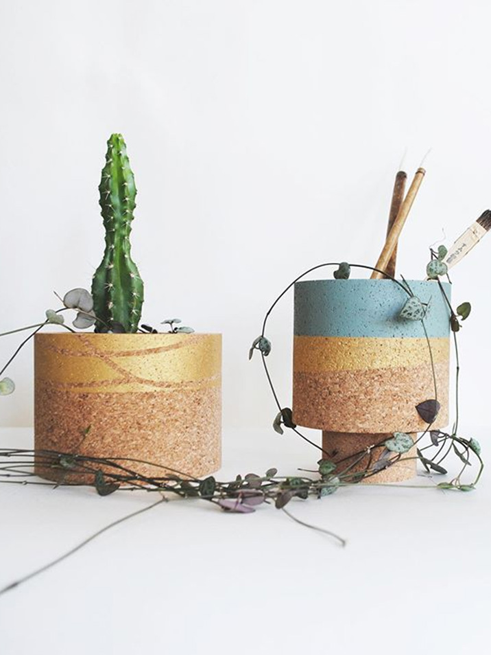 Helki Fern Cork Planter